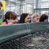 Coastal Fisheries and Aquaculture - Rostock Aquaponic Plant 2.jpg