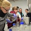 Microbal bathing water quality - Laboratory work 2.jpg